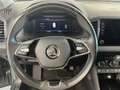 Skoda Karoq 2.0TDI AdBlue Ambition 110kW Grigio - thumbnail 9