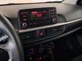 Kia Picanto 1.0 12V EcoGPL 5p. City UNI. PRO. / NEOPATENTATI Blanc - thumbnail 9