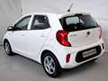 Kia Picanto 1.0 12V EcoGPL 5p. City UNI. PRO. / NEOPATENTATI Blanc - thumbnail 5