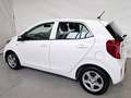 Kia Picanto 1.0 12V EcoGPL 5p. City UNI. PRO. / NEOPATENTATI Blanc - thumbnail 4