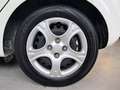 Kia Picanto 1.0 12V EcoGPL 5p. City UNI. PRO. / NEOPATENTATI Blanc - thumbnail 15