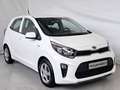 Kia Picanto 1.0 12V EcoGPL 5p. City UNI. PRO. / NEOPATENTATI Blanc - thumbnail 2