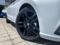 SEAT Ibiza FR Pro Black Edition (D3) 1.0 TSI 110 DSG  LED|... Wit - thumbnail 22