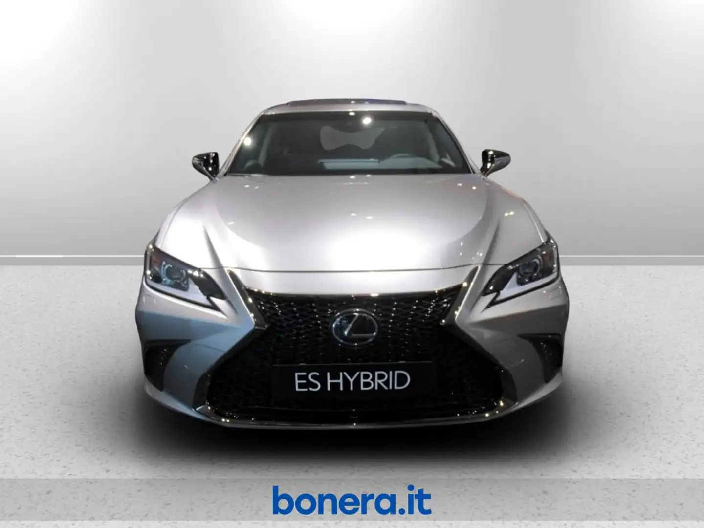 Lexus ES 300 h 2.5 Design cvt Grigio - 2