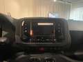 Fiat Panda My24 1.0 70cv Hybrid Panda CON ROTTAMAZIONE Bleu - thumbnail 16