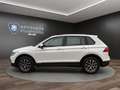 Volkswagen Tiguan 1.5 TSI Life AHK+LEDER+ACC+APP+SPURASSIST Klima Weiß - thumbnail 8