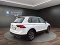 Volkswagen Tiguan 1.5 TSI Life AHK+LEDER+ACC+APP+SPURASSIST Klima Weiß - thumbnail 5