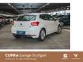 SEAT Ibiza FR BEATS 1.0 TSI 81 kW Blanco - thumbnail 3
