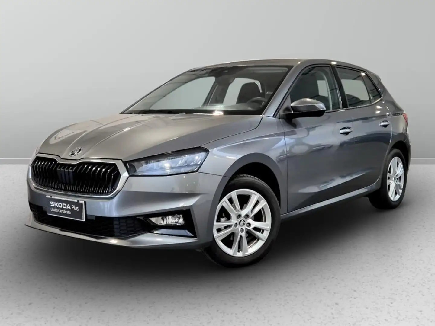 Skoda Fabia 1.0 mpi evo Selection 80cv Grigio - 1