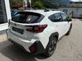 Subaru Crosstrek Crosstrek 2,0i e-Boxer CVT Premium Allrad Weiß - thumbnail 6