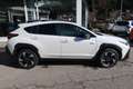 Subaru Crosstrek Crosstrek 2,0i e-Boxer CVT Premium Allrad Weiß - thumbnail 5