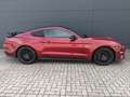 Ford Mustang 5.0l V8 GT LED Leder Kamera Rot - thumbnail 4