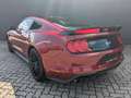 Ford Mustang 5.0l V8 GT LED Leder Kamera Rot - thumbnail 6