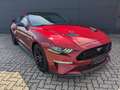 Ford Mustang 5.0l V8 GT LED Leder Kamera Rot - thumbnail 2