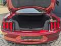 Ford Mustang 5.0l V8 GT LED Leder Kamera Rot - thumbnail 27