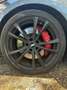 Audi S4 S4 Avant TDI quattro Aut. Grau - thumbnail 11