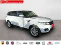 Land Rover Range Rover Sport 3.0 TDV6 190KW 258CV SE Blanco - thumbnail 3