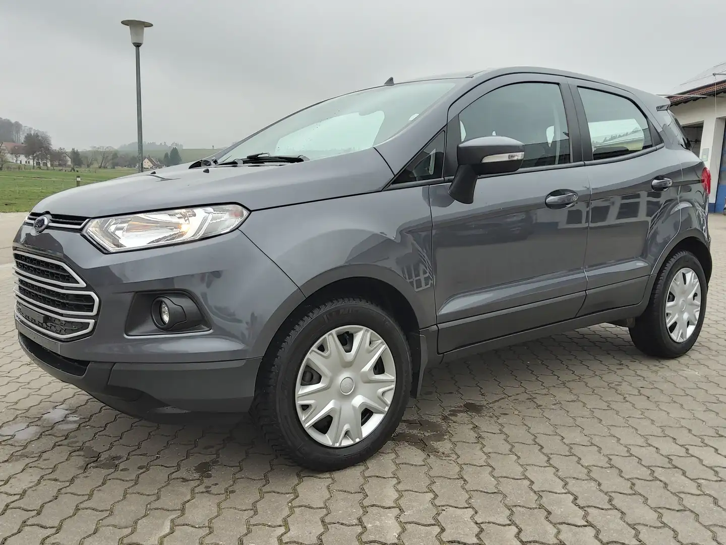 Ford EcoSport Trend Grey - 2