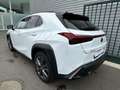 Lexus UX 250h F SPORT Design Noir - thumbnail 8