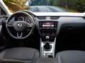 Skoda Octavia 1,0 TSI Ambition*APPLE CAR PLAY*PDC*SHZ*TEMPOMAT* Bleu - thumbnail 3