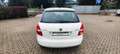 Skoda Fabia Fabia 1.2 12V 70CV 5p. Monte-Carlo Blanc - thumbnail 6