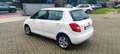 Skoda Fabia Fabia 1.2 12V 70CV 5p. Monte-Carlo Blanc - thumbnail 7