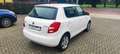 Skoda Fabia Fabia 1.2 12V 70CV 5p. Monte-Carlo Blanc - thumbnail 5