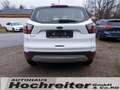 Ford Kuga Titanium Bianco - thumbnail 6