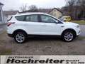 Ford Kuga Titanium Blanc - thumbnail 4