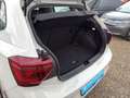 Volkswagen Polo Style TSi DSG Matrix+ACC+LED+Navi+Virt+PDC Grau - thumbnail 18