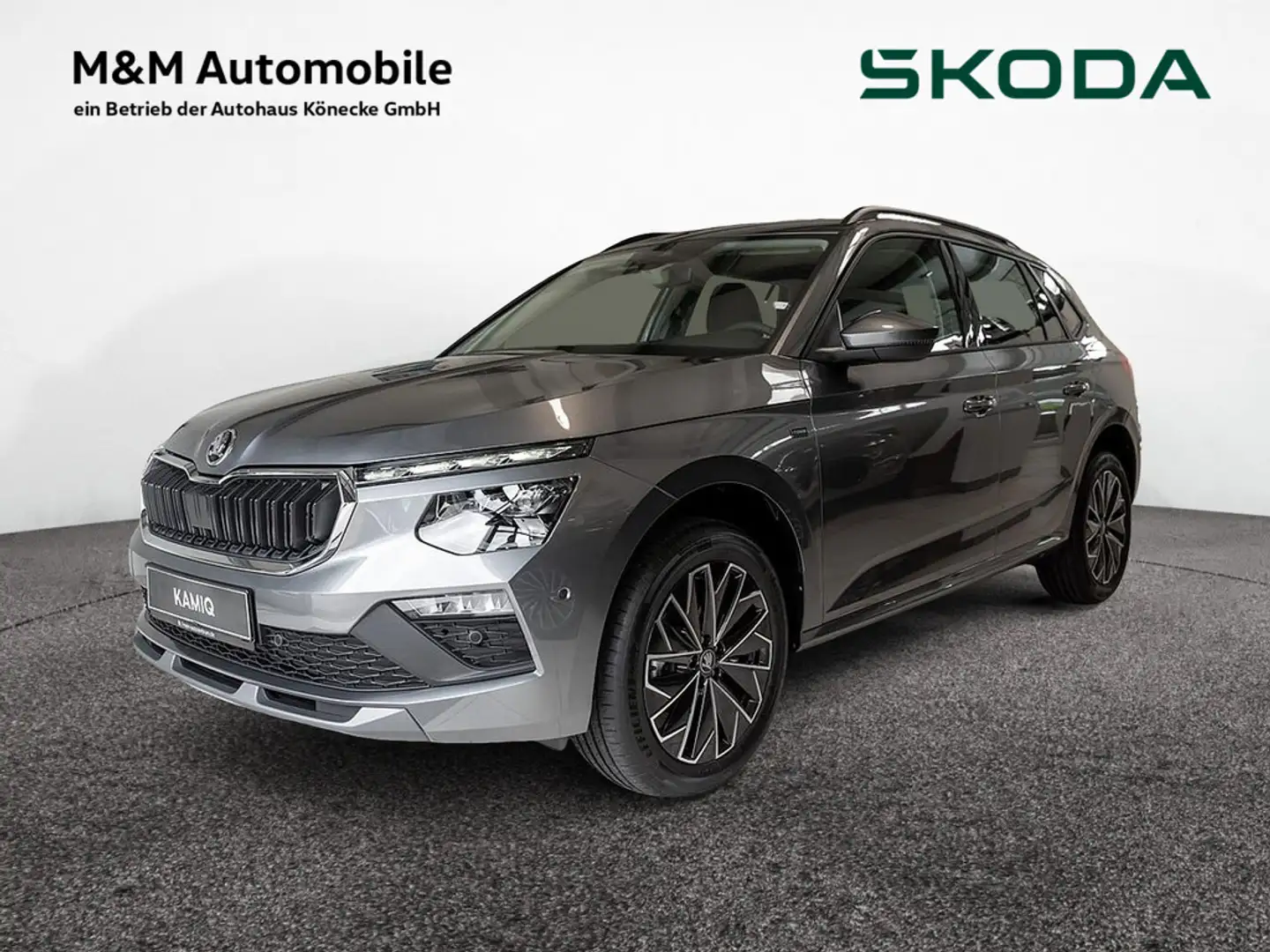 Skoda Kamiq 1.0 TSI Selection AHK KLIMA LED FSE LA Grau - 1