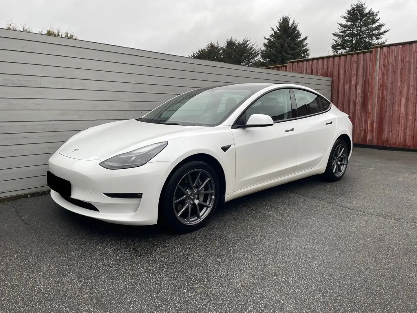 Tesla Model 3 Performance Dual Motor AWD Long Range Weiß - 1