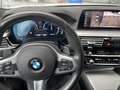BMW 530 530d xDrive Sport-Aut.Matt Perlen Weiss Foliert - thumbnail 8