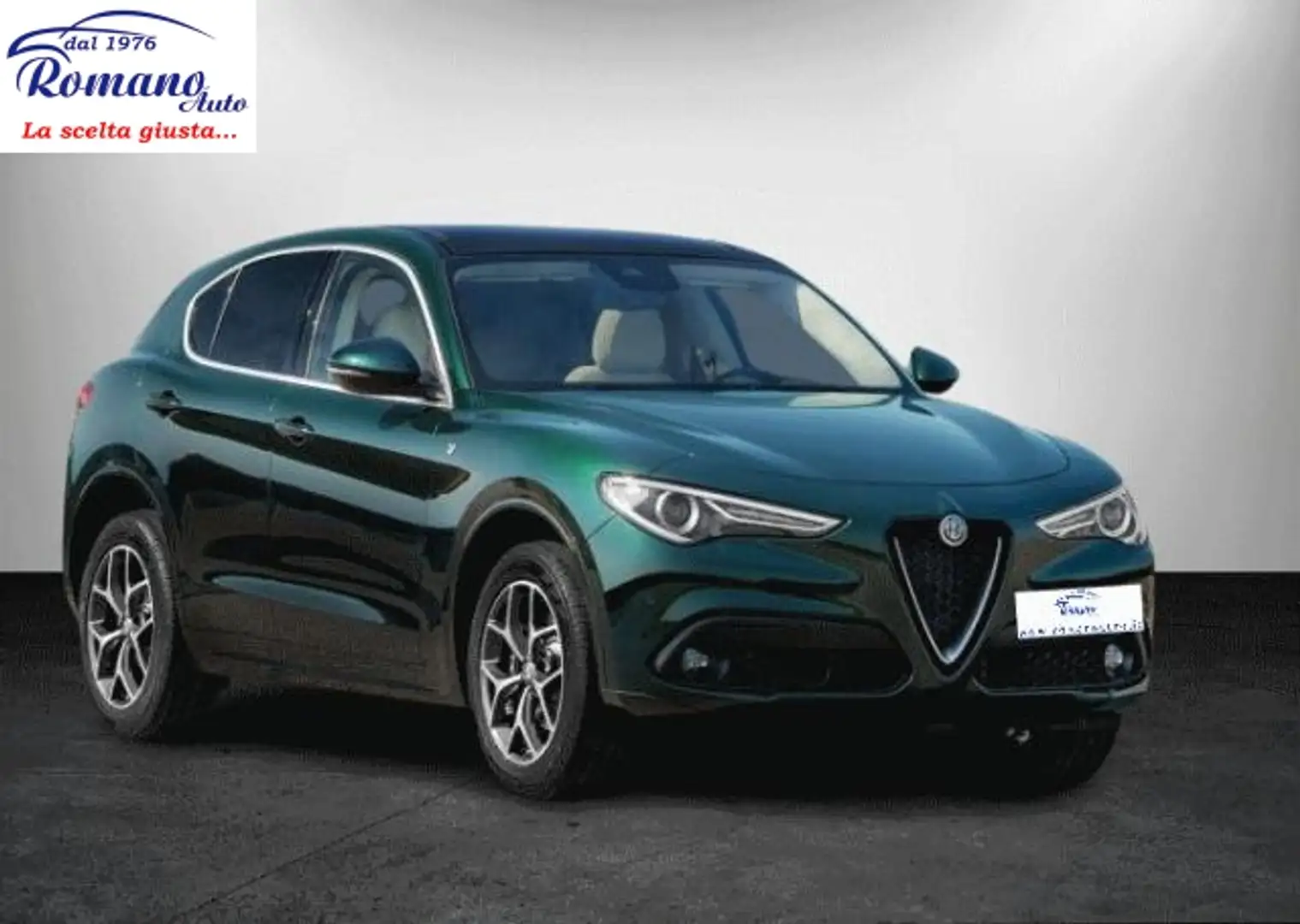 Alfa Romeo Stelvio 2.2 t Business Q4 190cv auto Verde - 1
