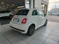 Fiat 500 1.0 Hybrid Connect Bianco - thumbnail 5
