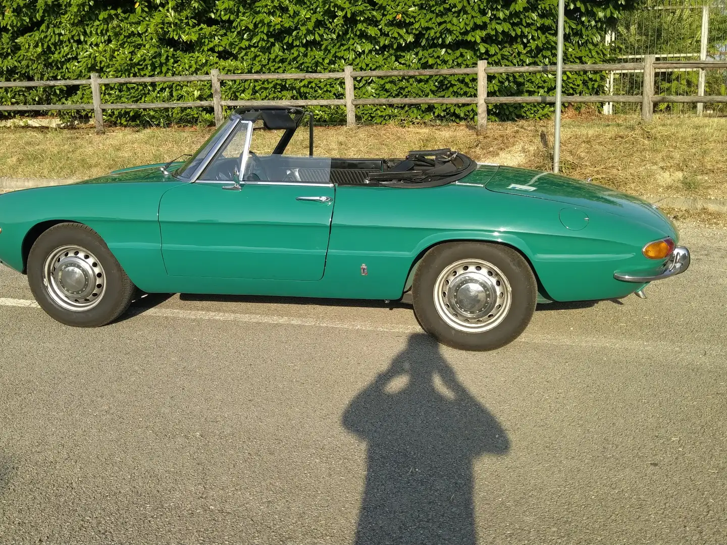 Alfa Romeo Spider Duetto 1300 Junior osso di seppia - 2