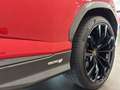 Lamborghini Urus Urus S Rouge - thumbnail 13