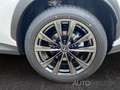 Lexus NX 350h E-FOUR F SPORT *360Grad*HUD*Pano*Navi* Weiß - thumbnail 17