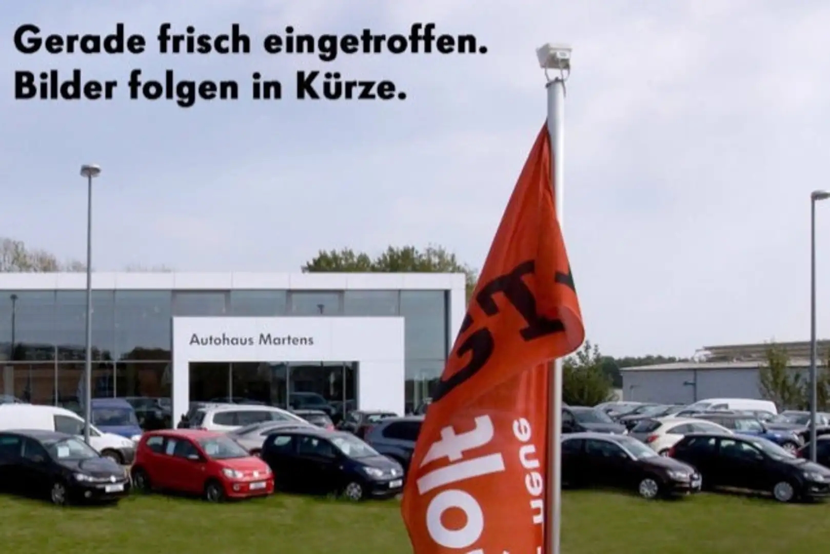 Volkswagen Golf VIII 2.0 TDI Life Klima Navi Einparkhilfe Grau - 1