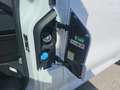 Ford Transit Custom Kasten Trend 320L1 2,0L EBlue 136PS M FWD Weiß - thumbnail 25