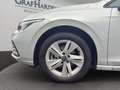 Volkswagen Golf VIII Variant 2.0 TDI DSG Life ACC RFK SHZ Silber - thumbnail 3