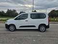 Citroen Berlingo BlueHDi 100 S&S LIVE 5 POSTI N1 Weiß - thumbnail 10