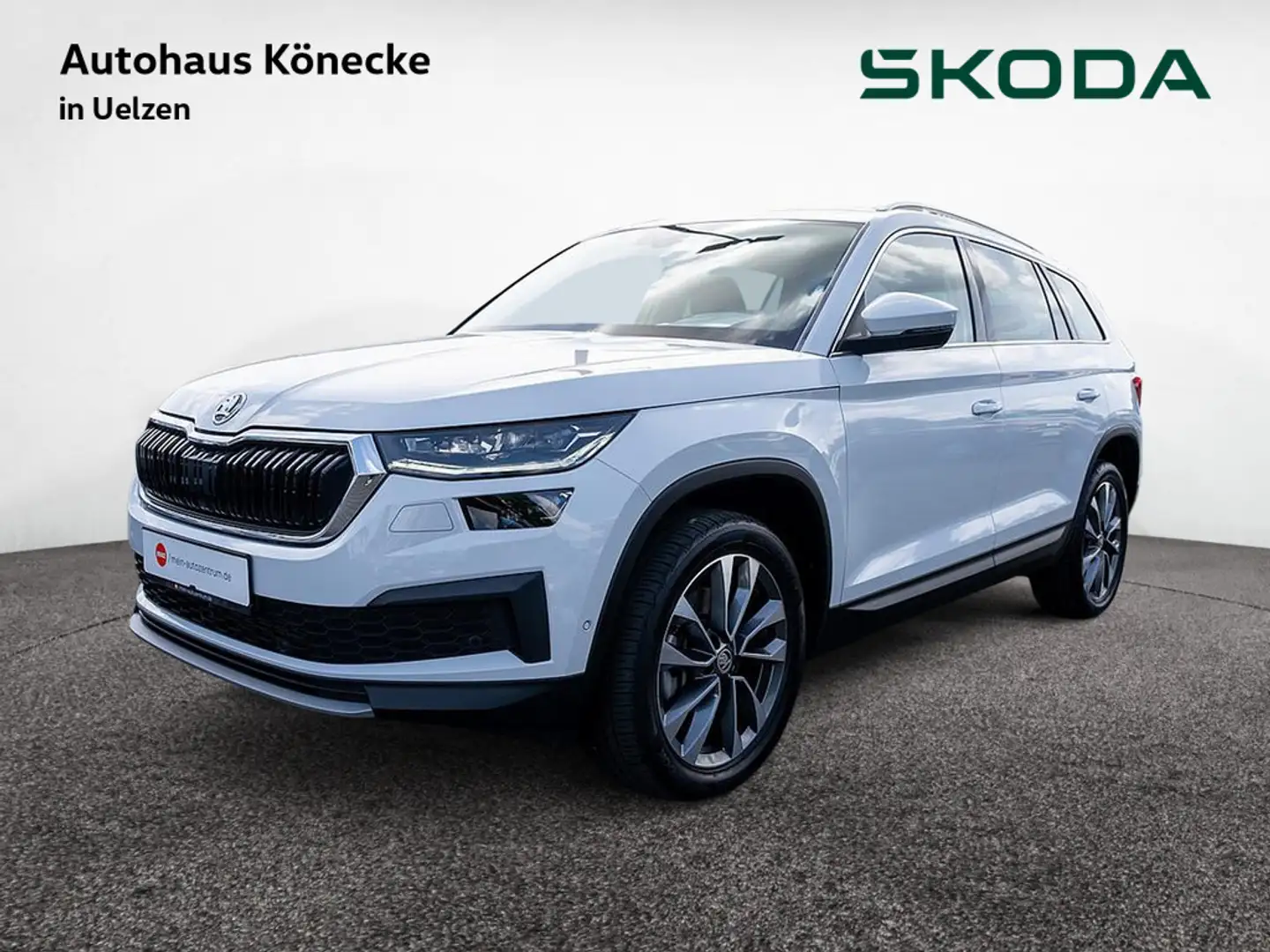 Skoda Kodiaq 2.0 TDI Tour 4x4 DSG AHK KAMERA STANDH Weiß - 1