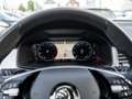 Skoda Kodiaq 2.0 TDI Tour 4x4 DSG AHK KAMERA STANDH Weiß - thumbnail 11