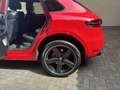 Porsche Macan GTS PDK Bose Luftfederung Panoramaschiebedach Rot - thumbnail 14