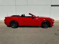 Ford Mustang Mustang Convertible 5.0 Ti-VCT GT Aut. GT Rojo - thumbnail 6