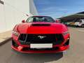 Ford Mustang Mustang Convertible 5.0 Ti-VCT GT Aut. GT Rojo - thumbnail 9