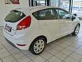 Ford Fiesta Trend 1.BESITZ, GUTER ZUSTAND, KLIMA Weiß - thumbnail 10