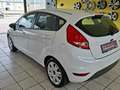 Ford Fiesta Trend 1.BESITZ, GUTER ZUSTAND, KLIMA Weiß - thumbnail 8