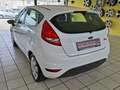 Ford Fiesta Trend 1.BESITZ, GUTER ZUSTAND, KLIMA Weiß - thumbnail 2